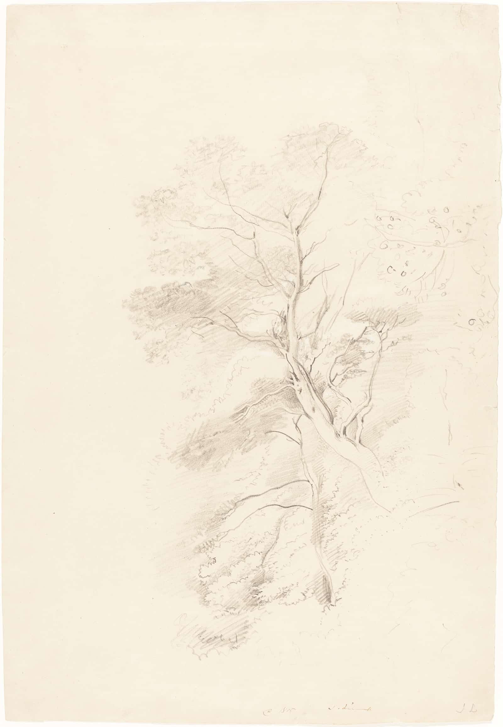 A Beech Wood by John Linnell - Image 2