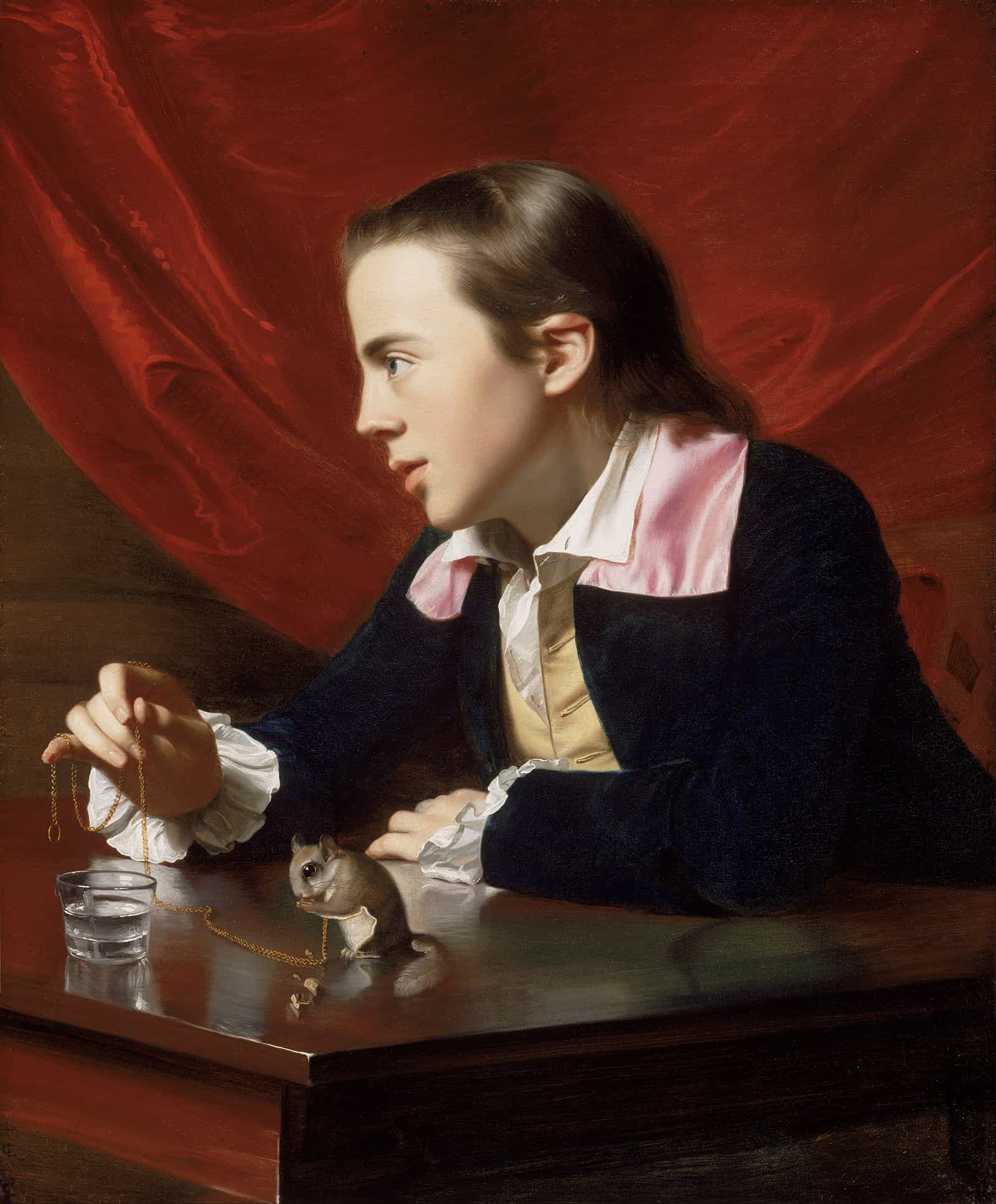A Boy With A Flying Squirrel Henry Pelham by John Singleton Copley - Image 2
