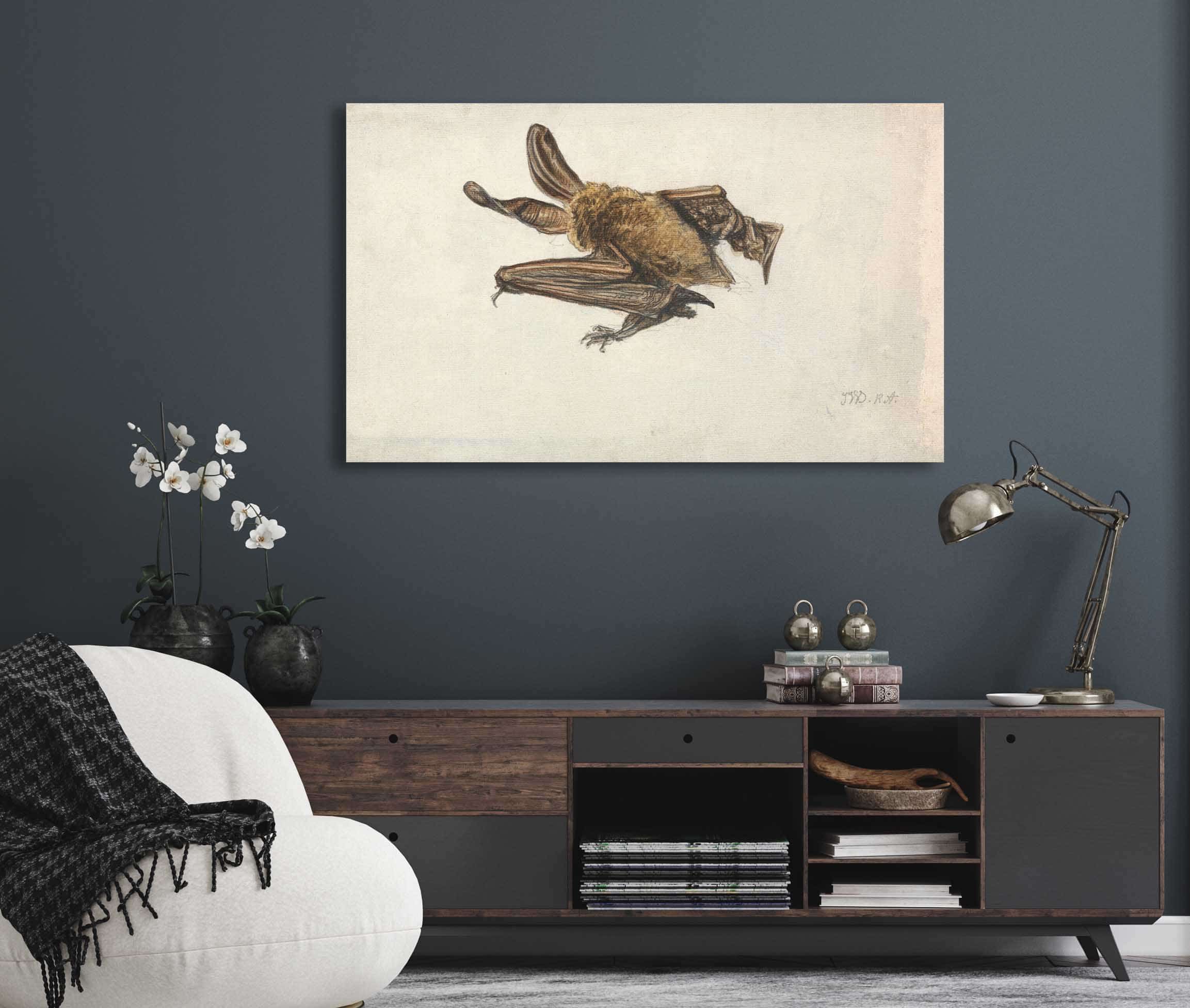 A Brown Long Eared Bat Plecotus Auritus by James Ward - Image 5