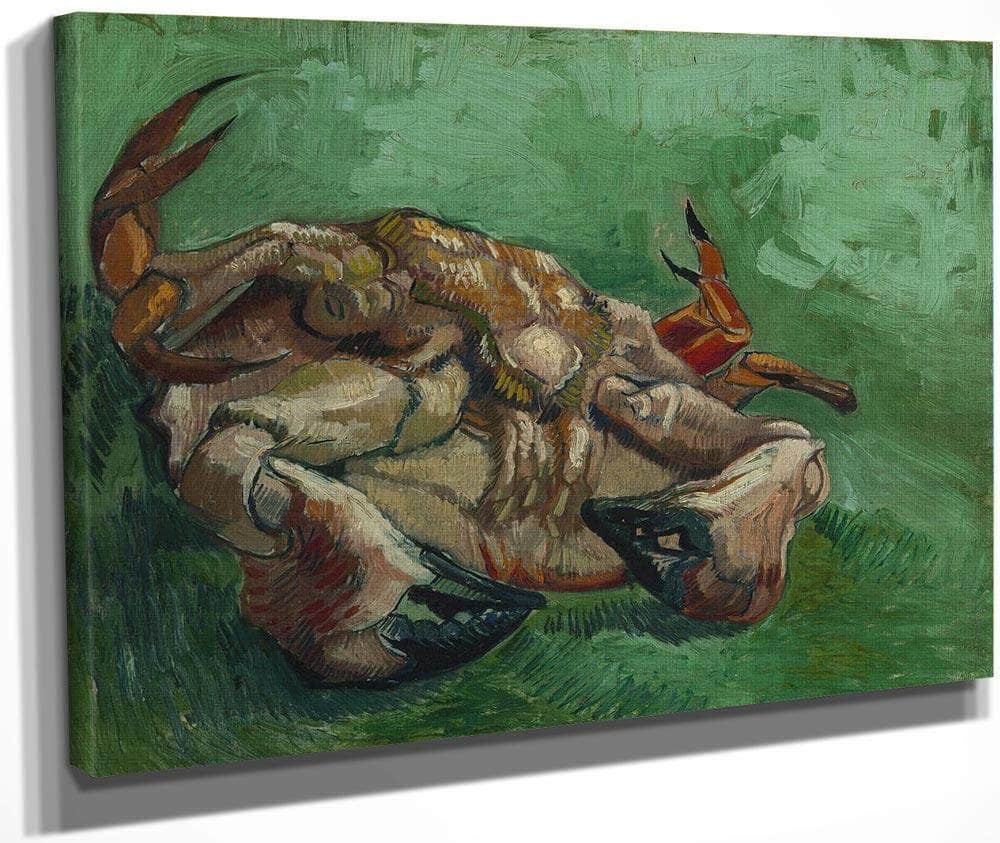 A Crab On Its Back By Vincent Van Gogh