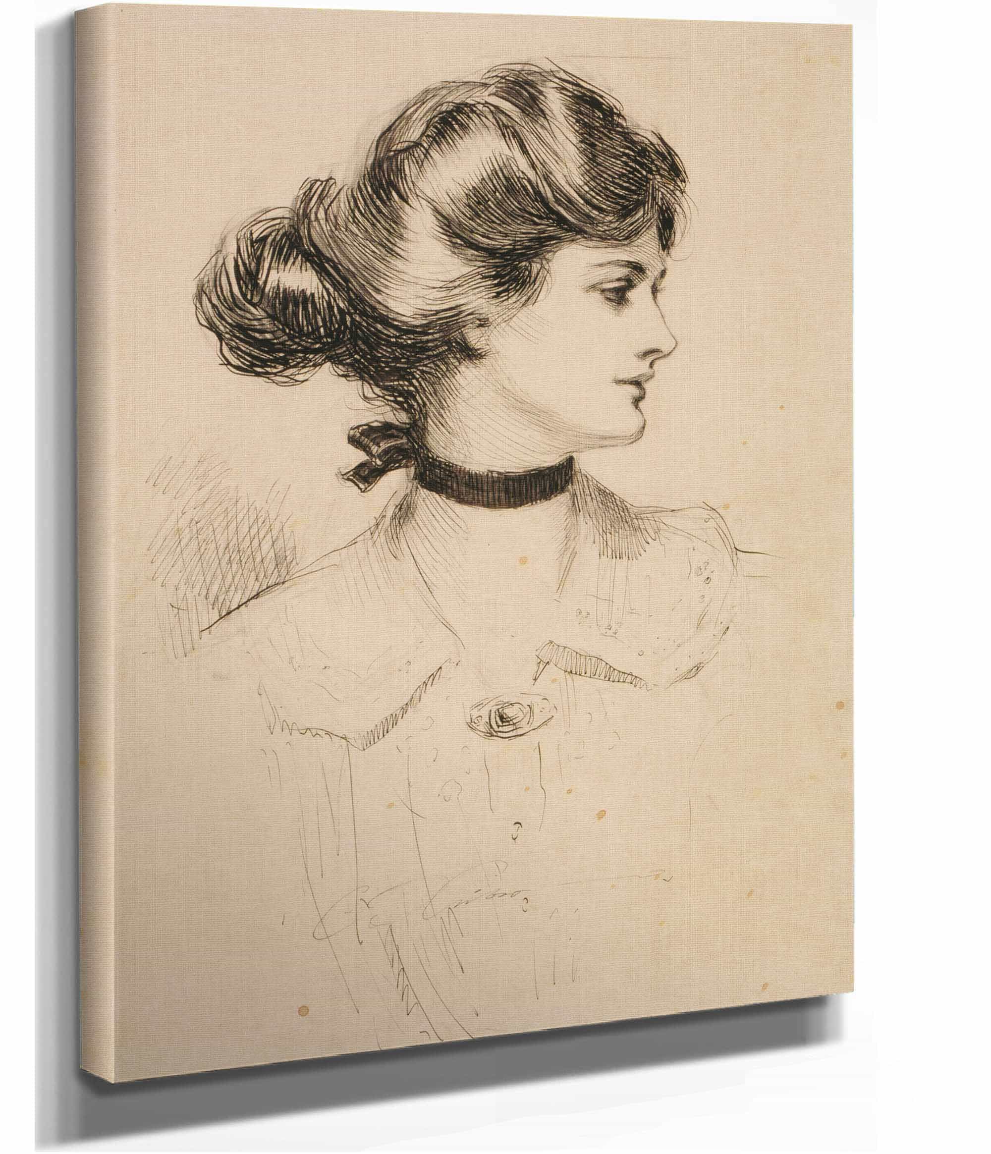 A Daughter Of The South by Charles Dana Gibson - Image 2