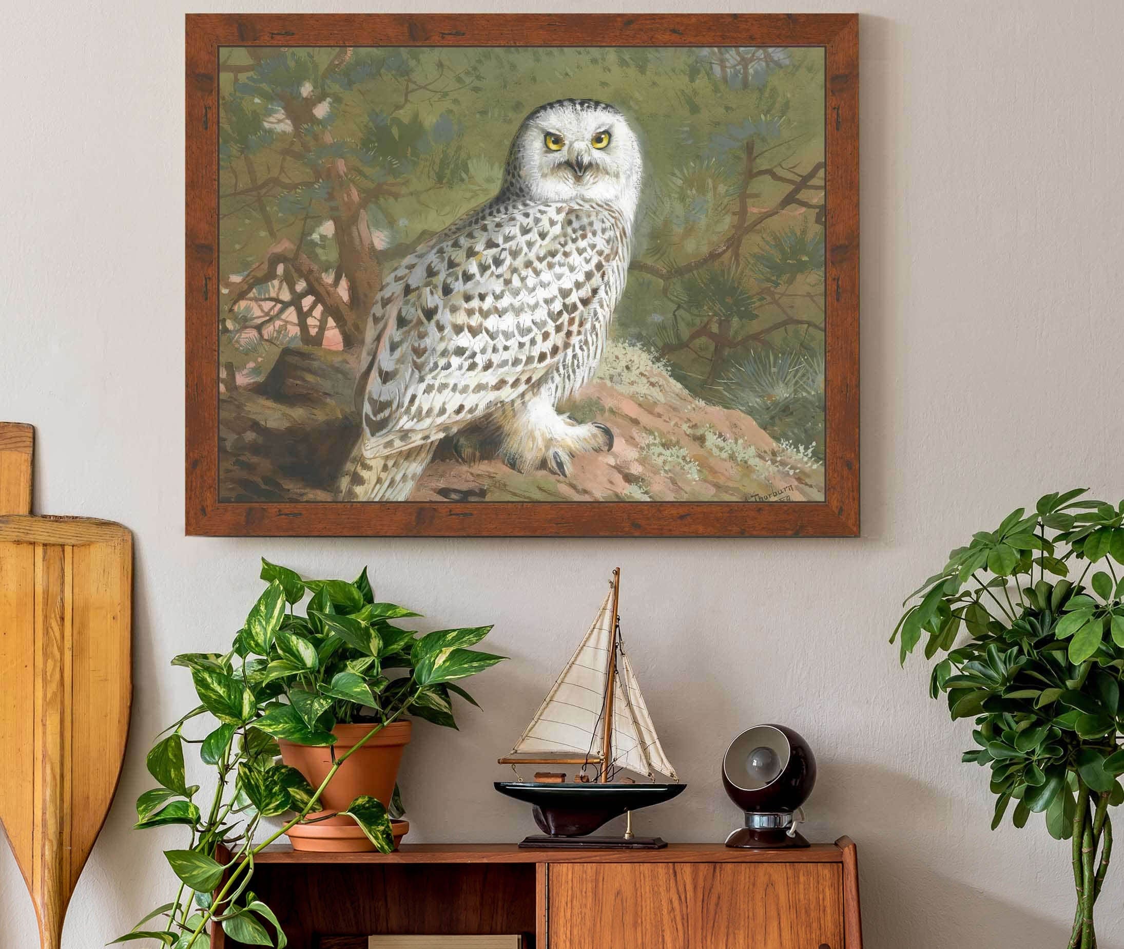 A Female Snowy Owl by Archibald Thorburn - Image 3