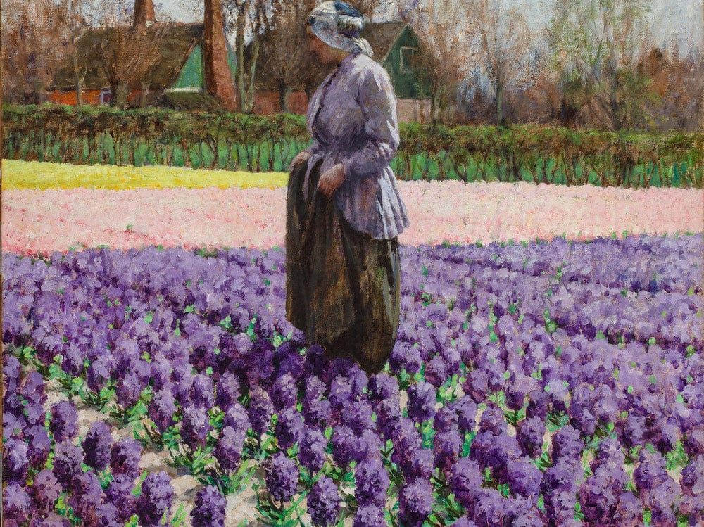 A Field Of Hyacinths, Holland By Walter Macewen - Image 5