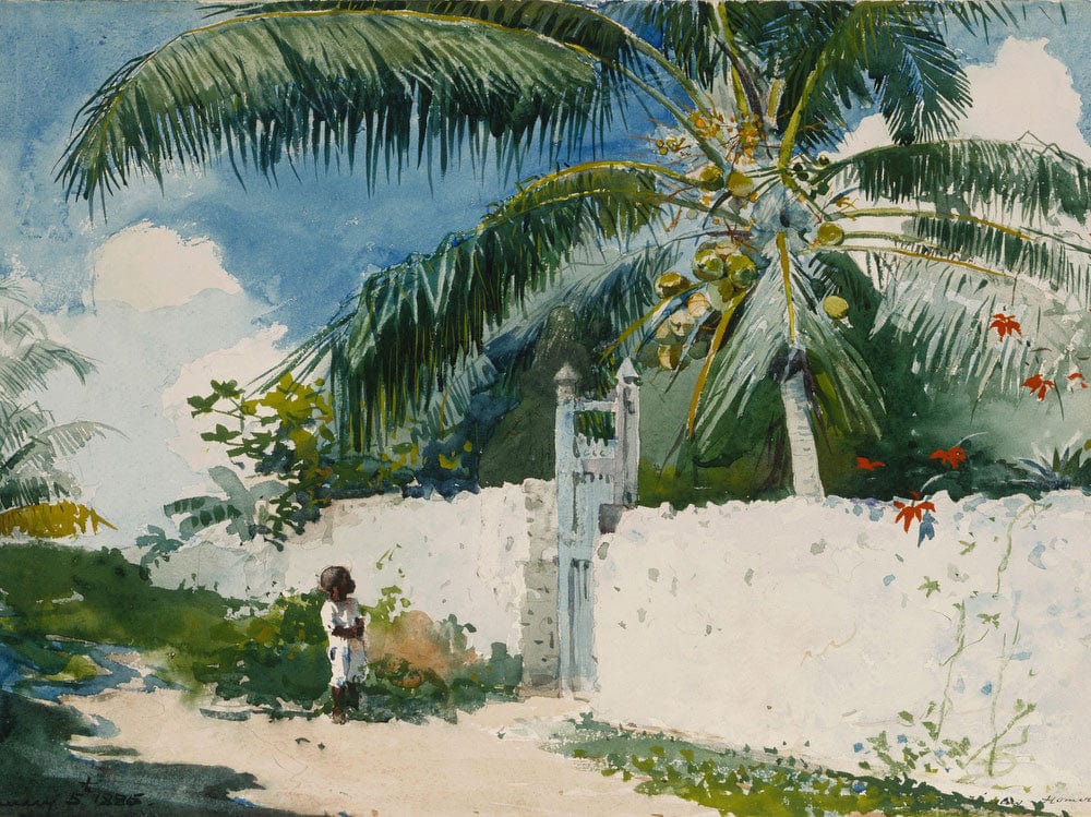 A Garden In Nassau By Winslow Homer - Image 7