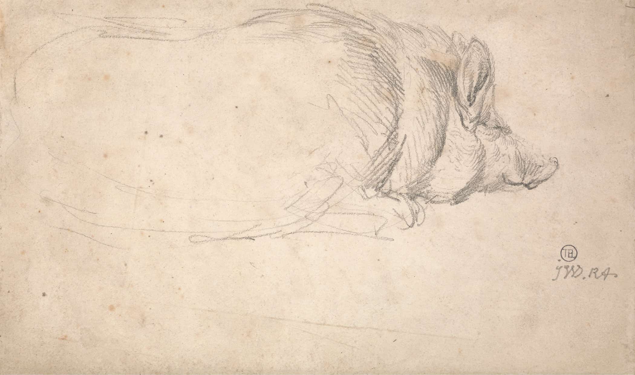 A Hog Sleeping by James Ward - Image 2