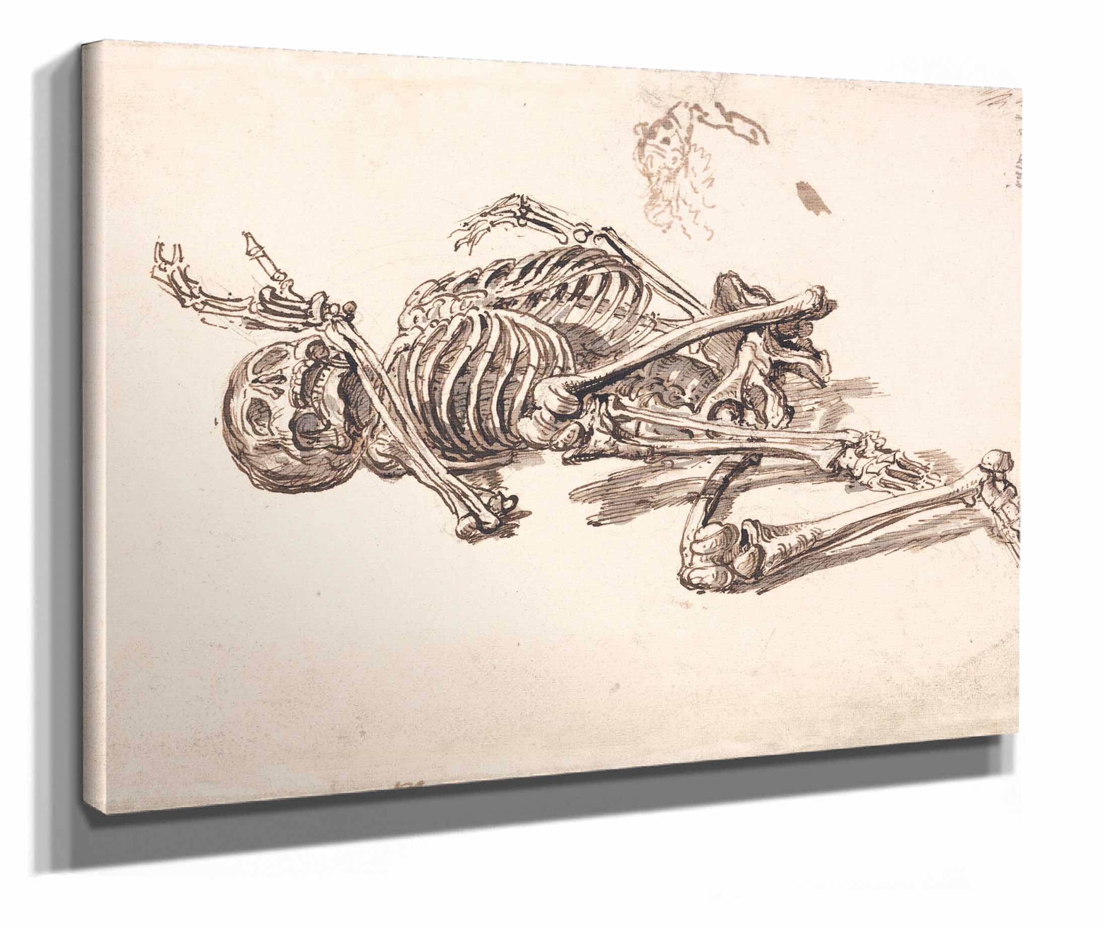 A Human Skeleton by James Ward - Image 2