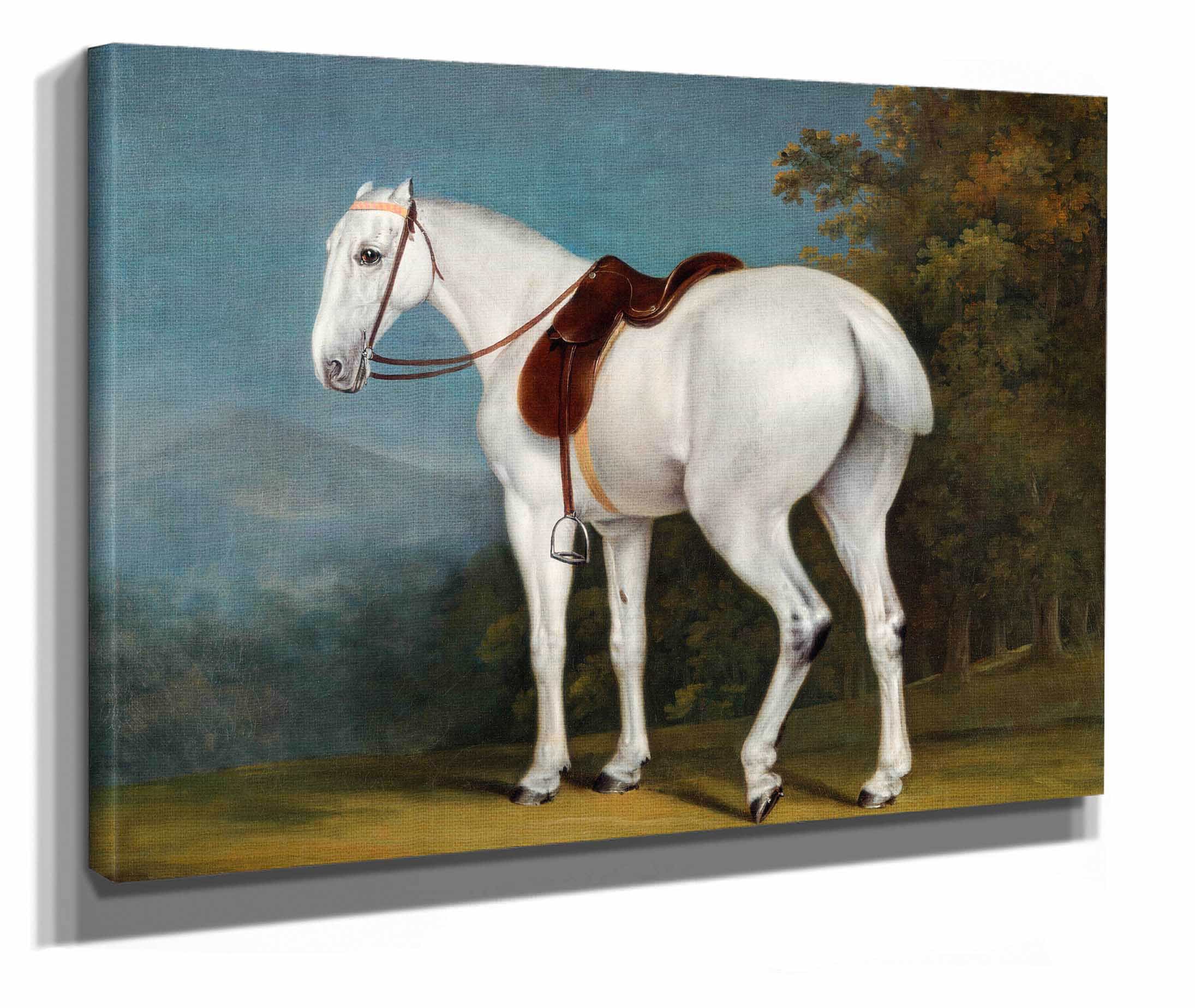 A Ladys Grey Hunter by Jacques Laurent Agasse - Image 2
