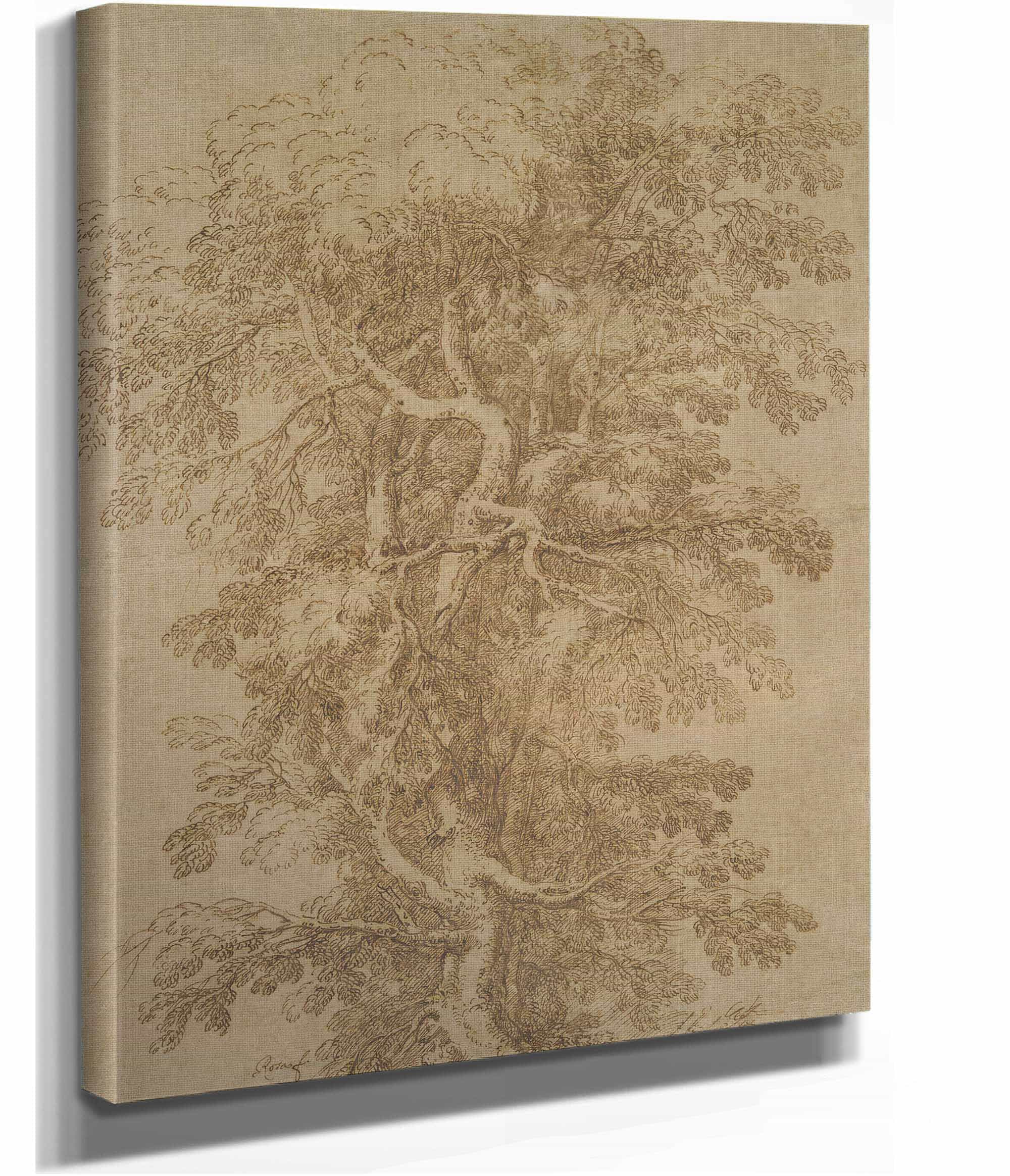 A Large Tree by Salvator Rosa - Image 2