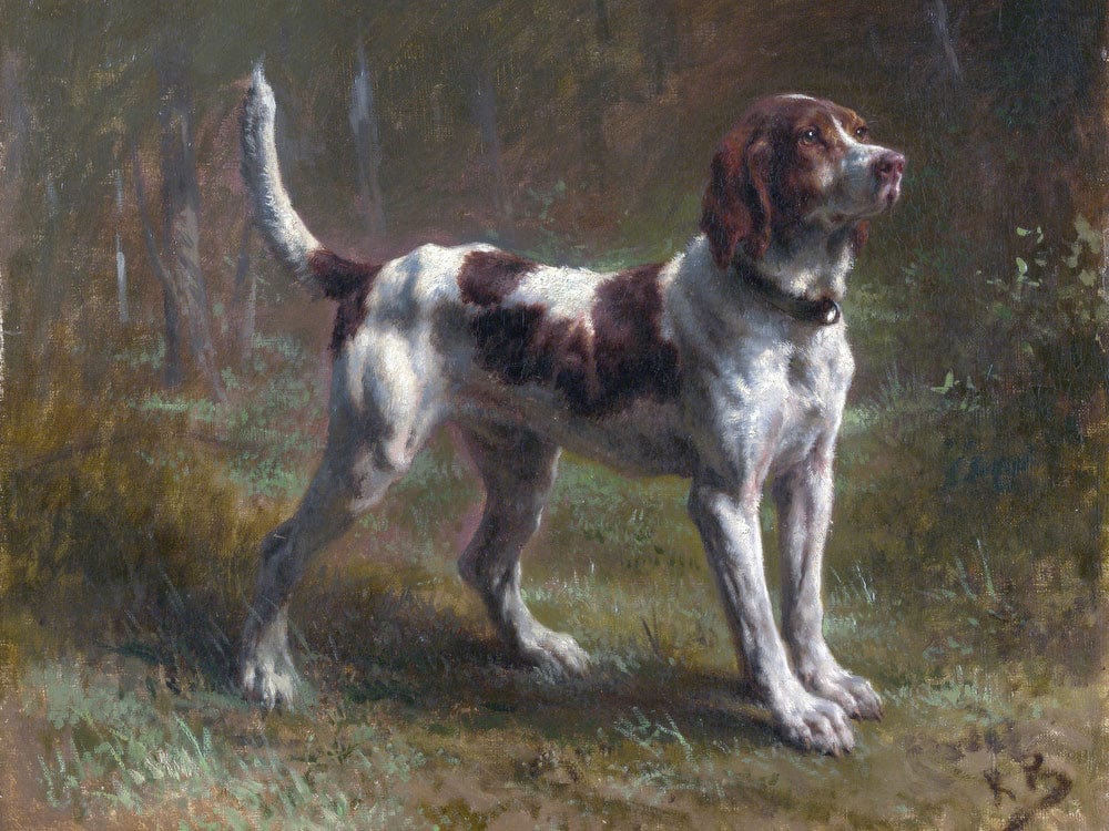 A Limier Briquet Hound By Rosa Bonheur - Image 7