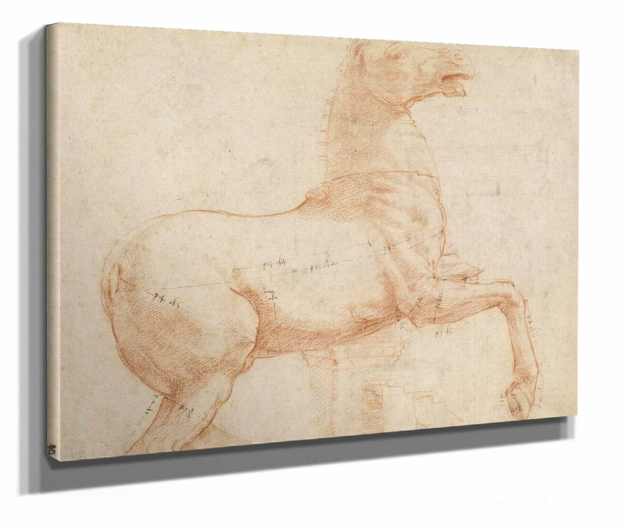 A Marble Horse On The Quirinal Hill Recto by Raphael - Image 2
