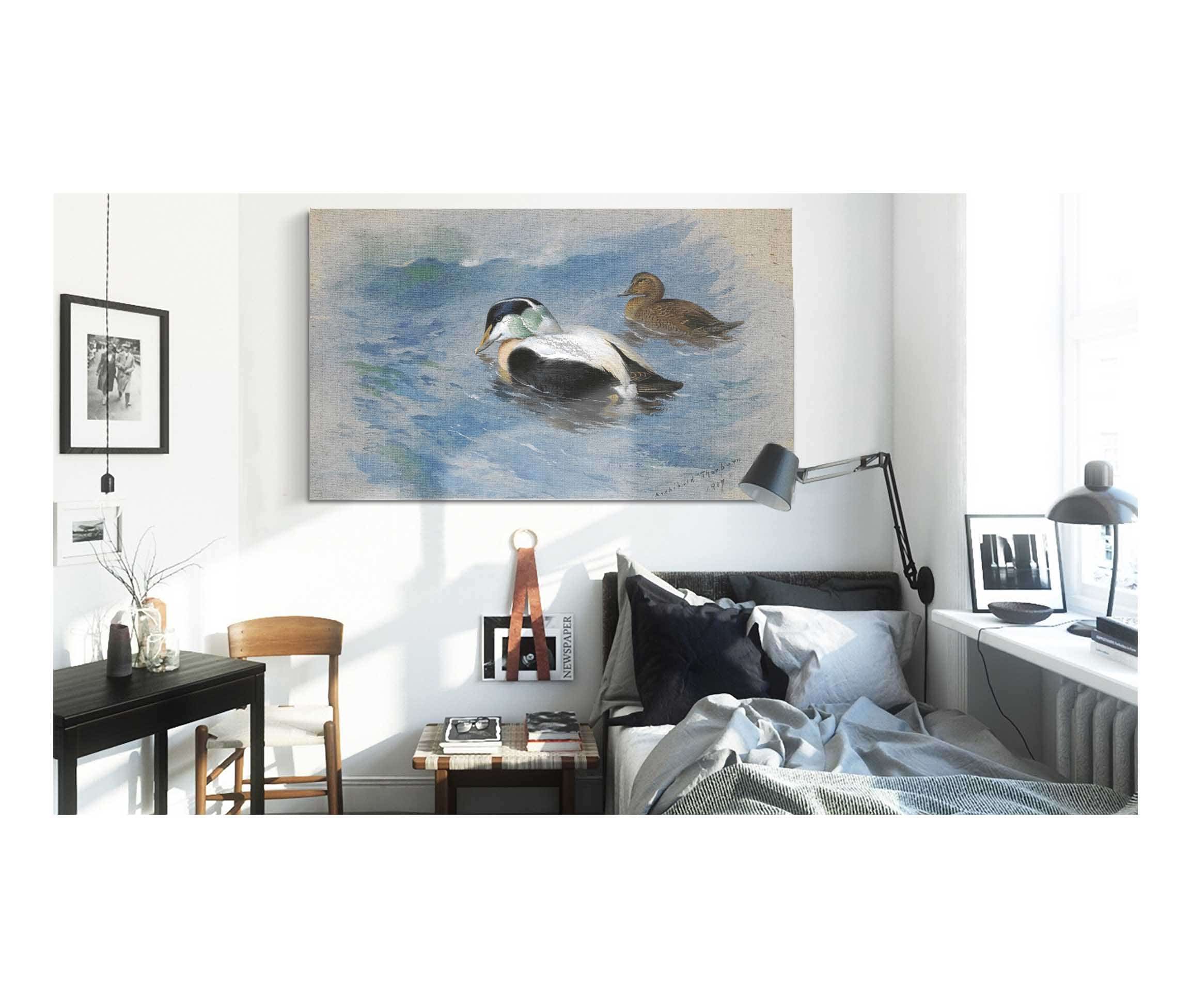 A Pair Of Eider Ducks by Archibald Thorburn - Image 3