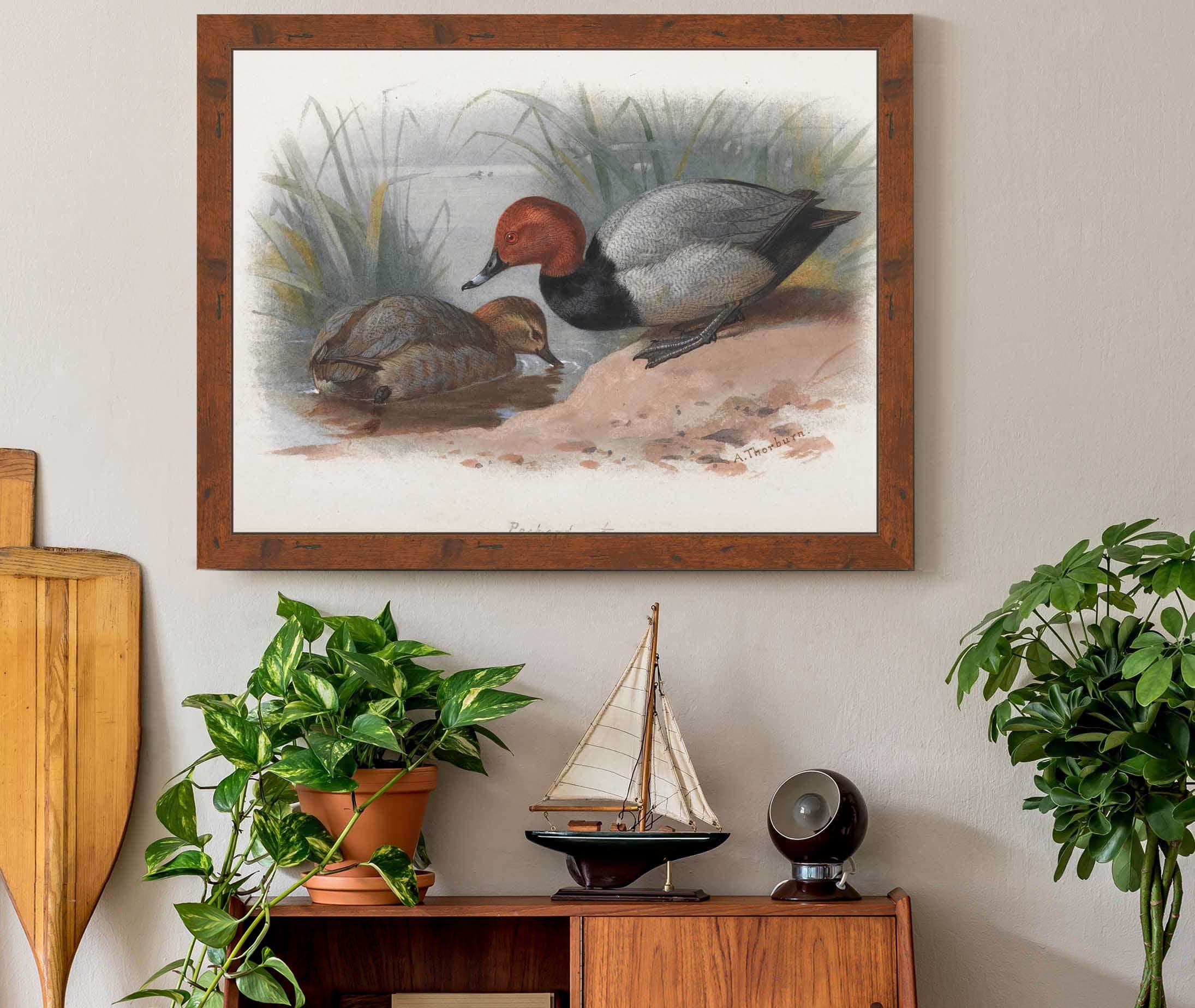 A Pair Of Pochard by Archibald Thorburn - Image 3