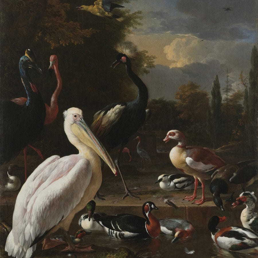 A Pelican And Other Birds Near A Pool Aka The Floating Feather By Melchior De Hondecoeter - Image 5