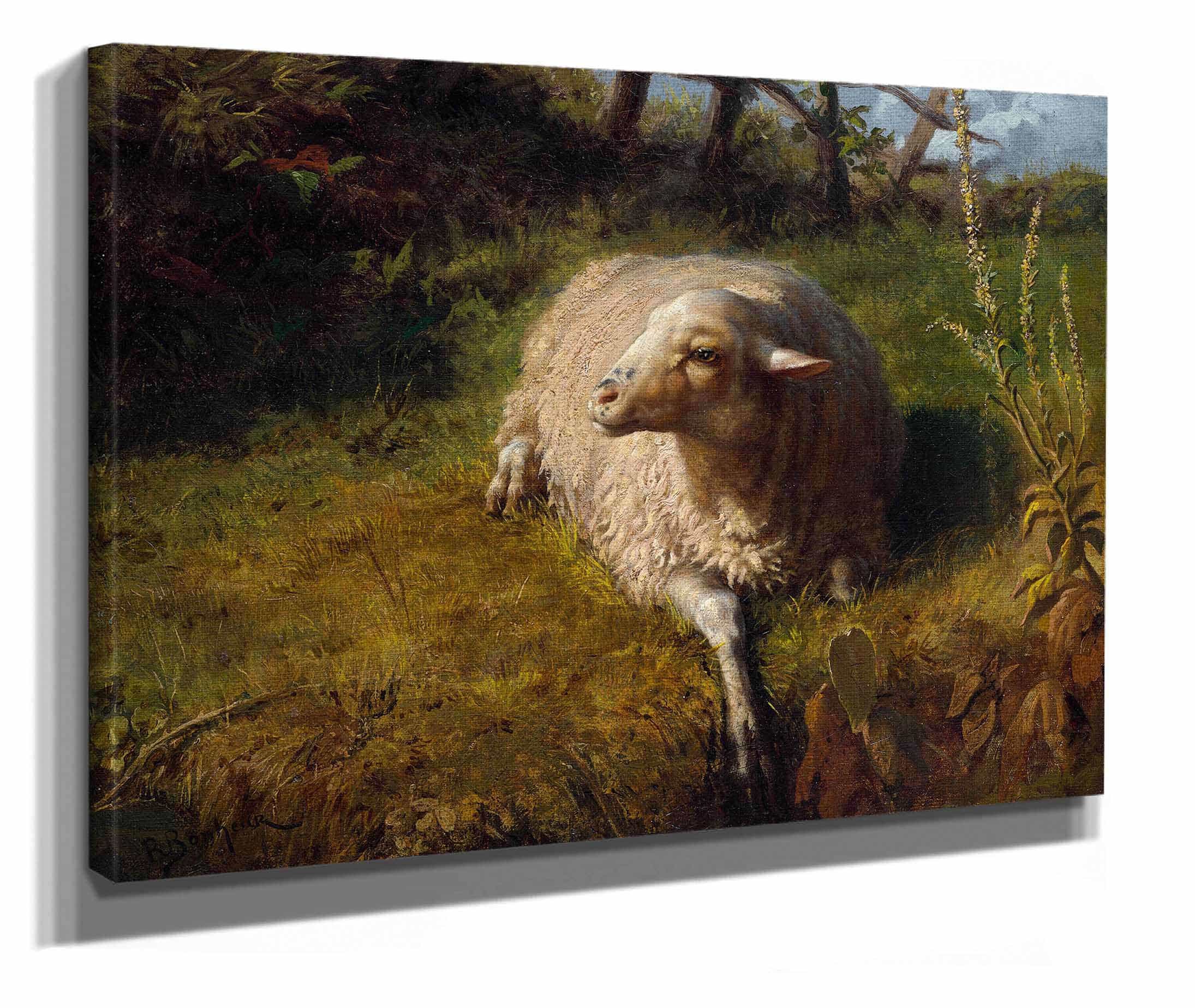 A Sheep At Rest by Rosa Bonheur - Image 2