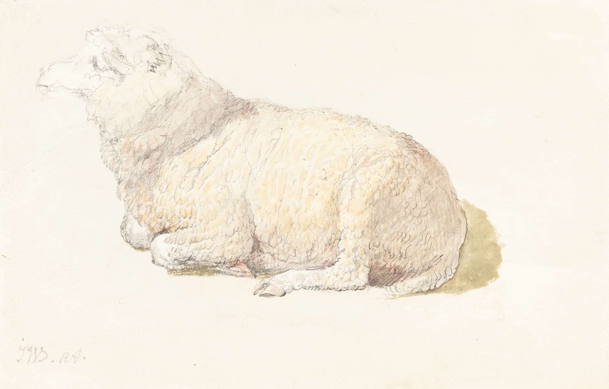 A Sheep Resting by James Ward - Image 2