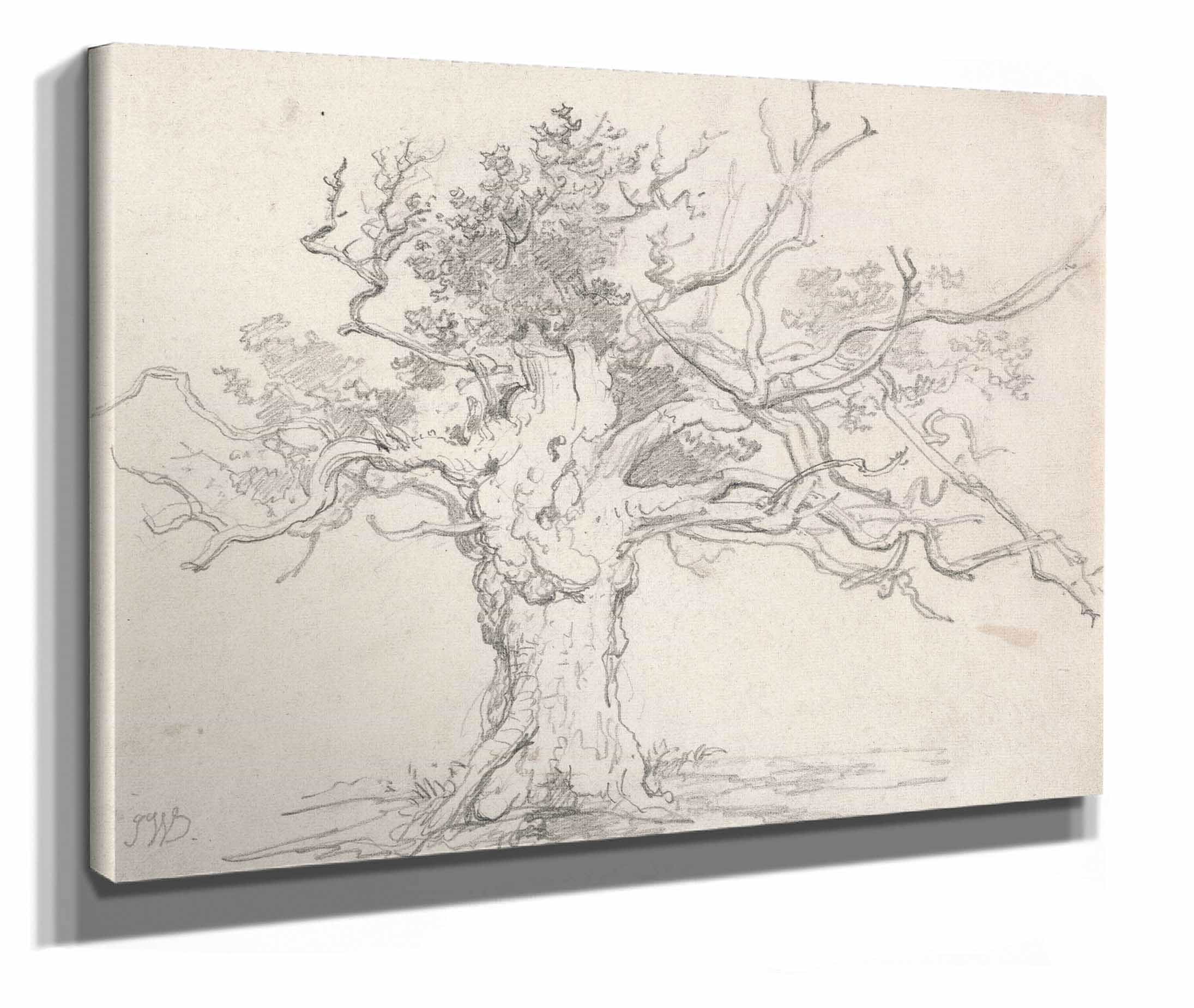 A Stunted Oak by James Ward - Image 2