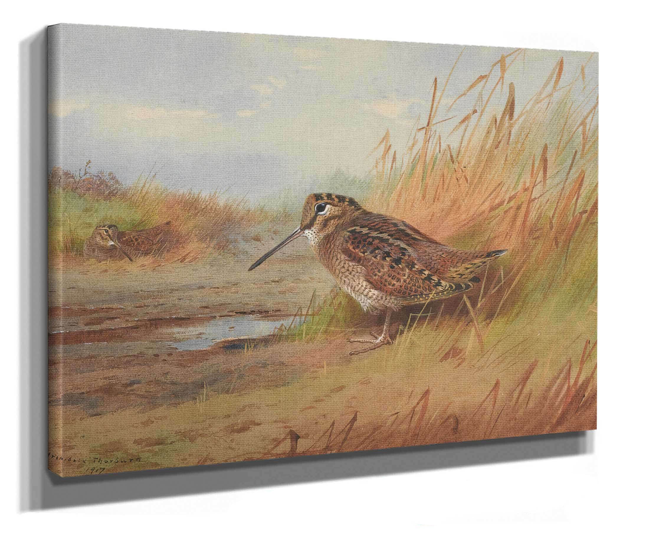 A Woodcock by Archibald Thorburn - Image 2