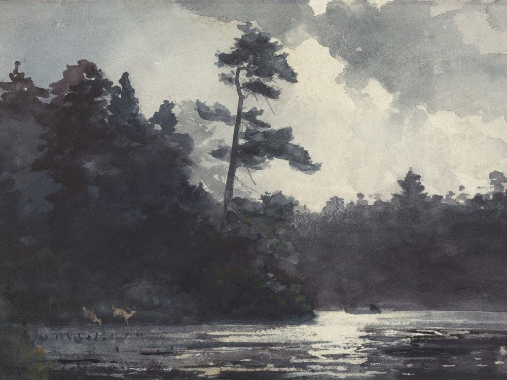 Adirondack Lake By Winslow Homer - Image 7