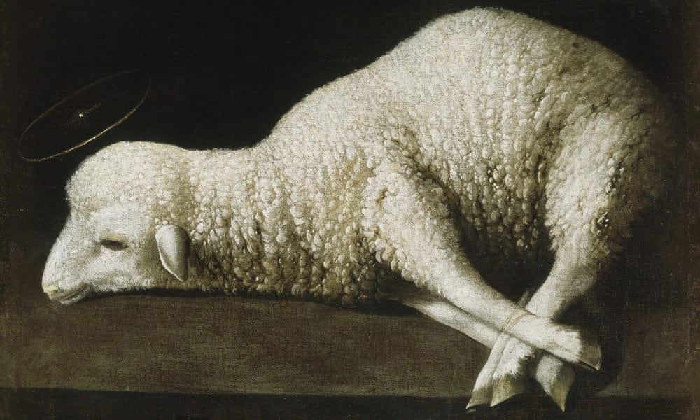 Agnus Dei By Francisco De Zurbaran - Image 7