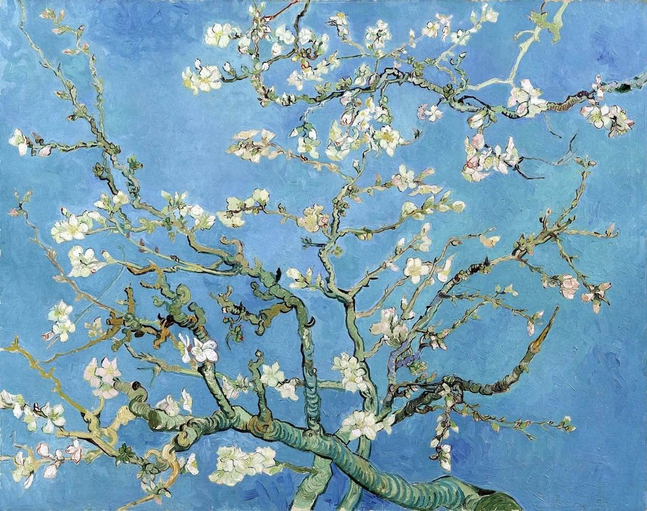 Almond Blossom Painting Vincent Van Gogh Canvas Art - Image 5