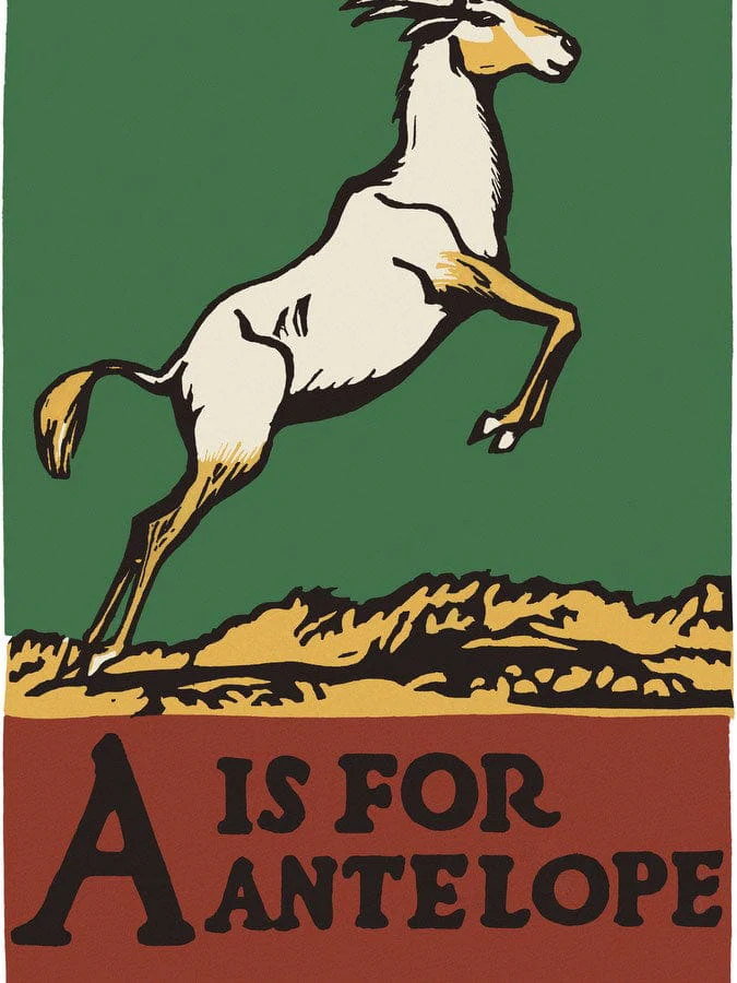 Alphabet A Is For Antelope By C.B. Falls - Image 5