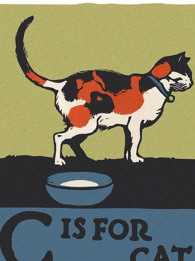 Alphabet  C Is For Cat By C.B. Falls - Image 5