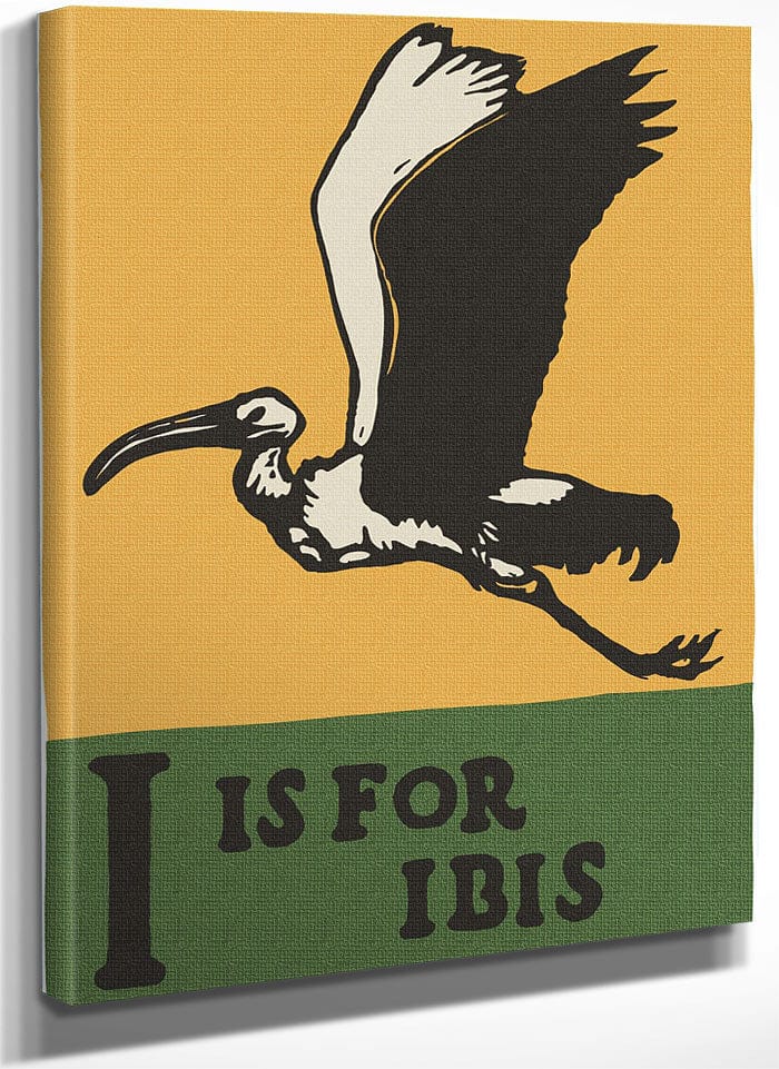 Alphabet I Is For Ibis By C.B. Falls