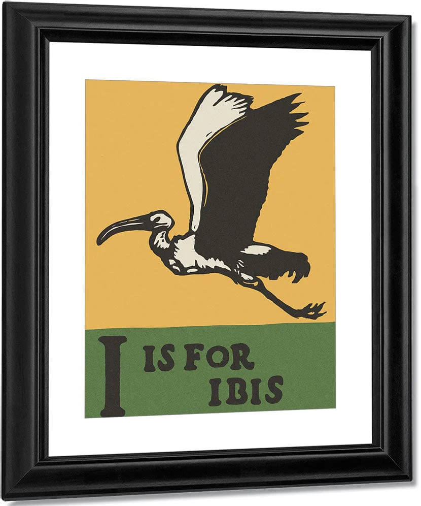 Alphabet I Is For Ibis By C.B. Falls - Image 2