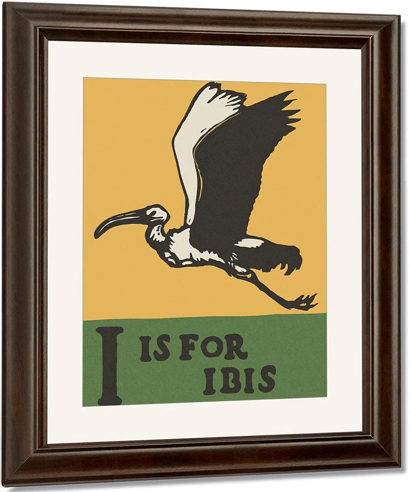 Alphabet I Is For Ibis By C.B. Falls - Image 3