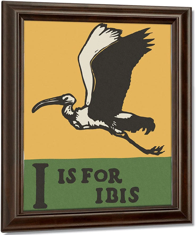 Alphabet I Is For Ibis By C.B. Falls - Image 4
