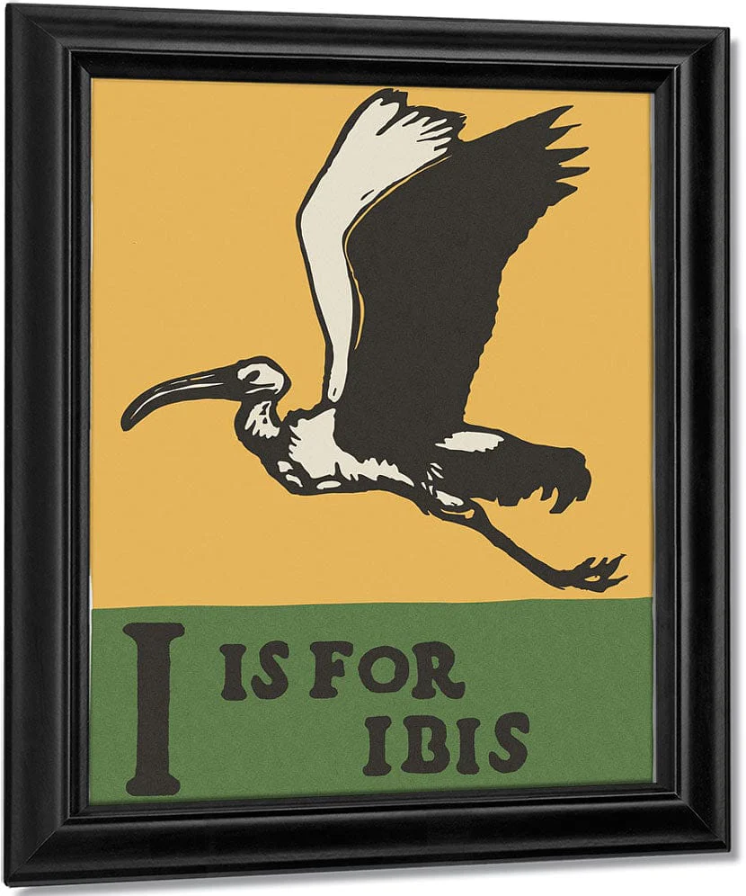 Alphabet I Is For Ibis By C.B. Falls - Image 6