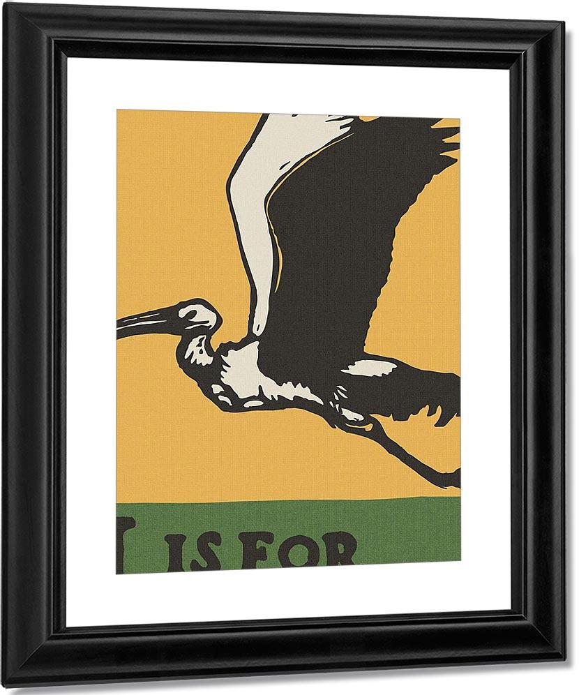 Alphabet I Is For Ibis By C.B. Falls - Image 2