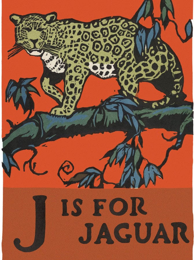 Alphabet J Is For Jaguar By C.B. Falls - Image 5