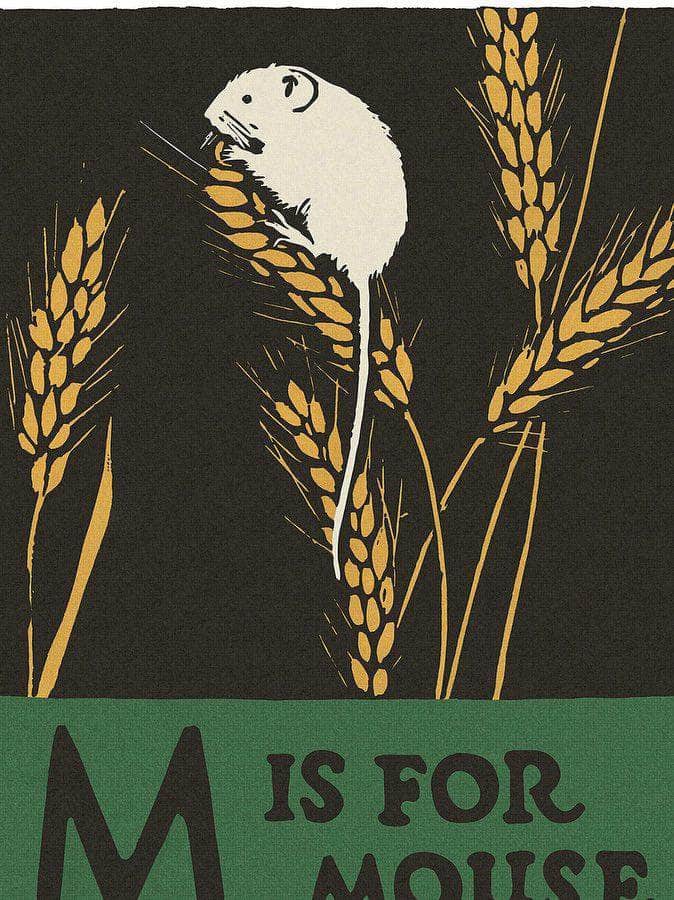 Alphabet M Is For Mouse By C.B. Falls - Image 5