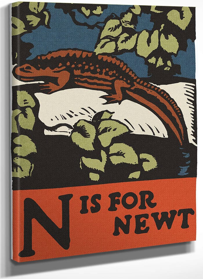 Alphabet N Is For Newt By C.B. Falls