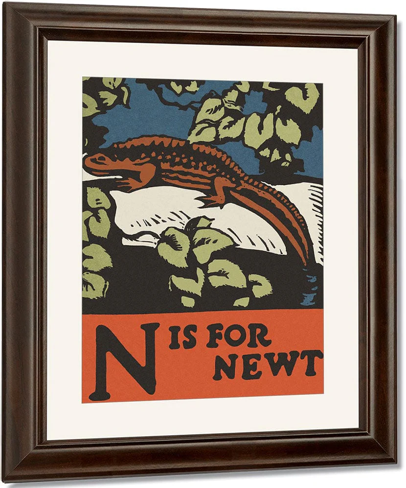 Alphabet N Is For Newt By C.B. Falls - Image 3