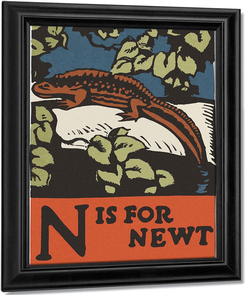 Alphabet N Is For Newt By C.B. Falls - Image 6