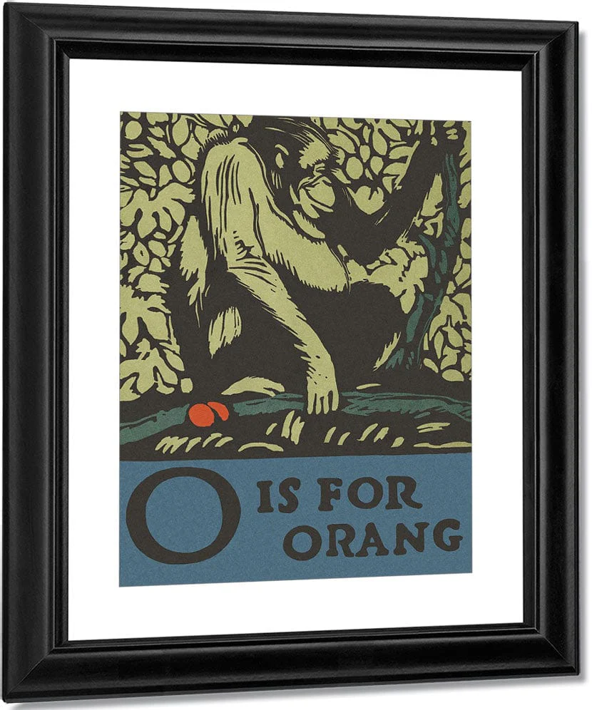 Alphabet O Is For Orangutan By C.B. Falls - Image 2