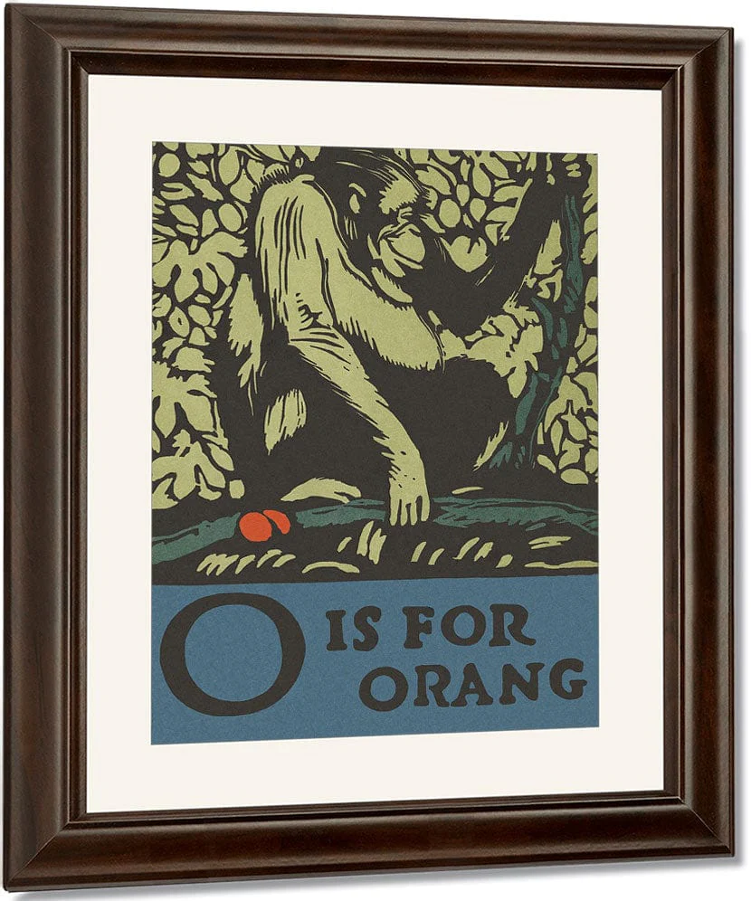 Alphabet O Is For Orangutan By C.B. Falls - Image 3