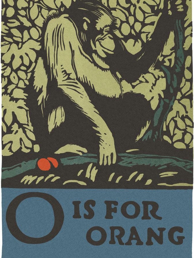 Alphabet O Is For Orangutan By C.B. Falls - Image 5