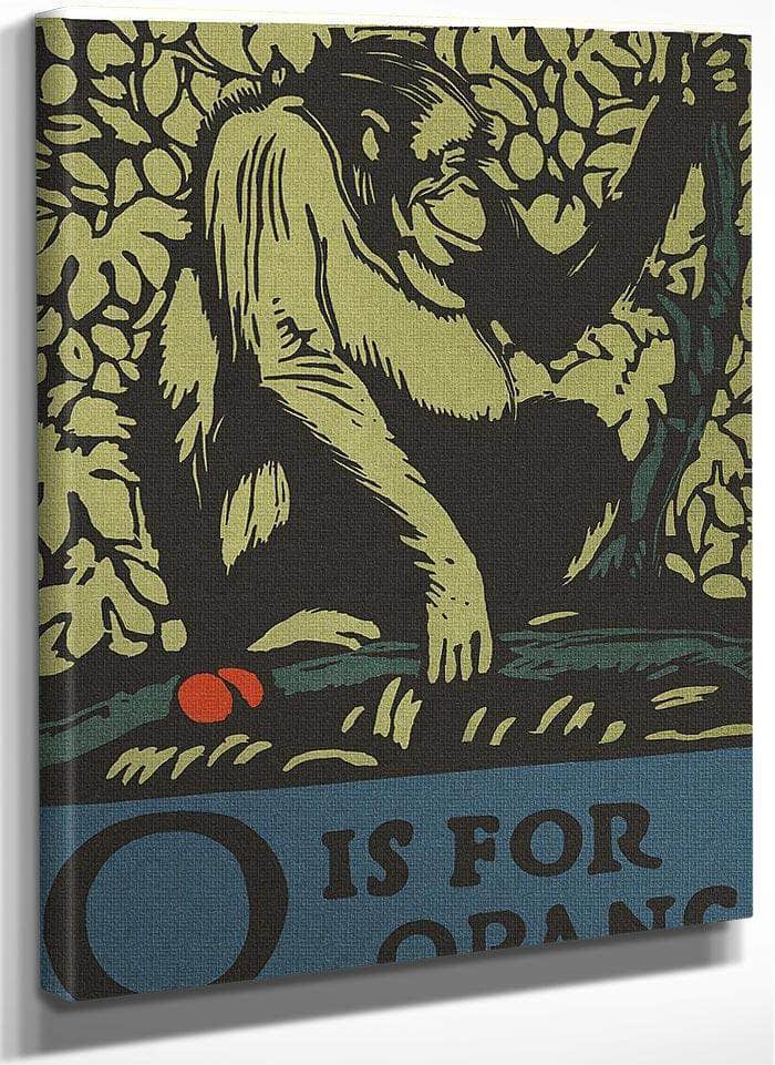 Alphabet O Is For Orangutan By C.B. Falls