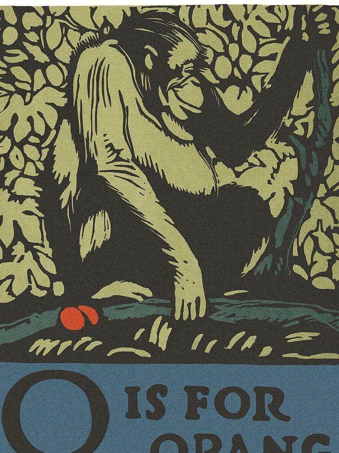 Alphabet O Is For Orangutan By C.B. Falls - Image 5