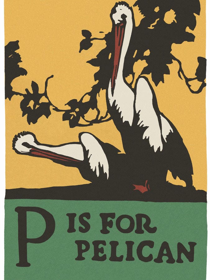Alphabet P Is For Pelican By C.B. Falls - Image 5