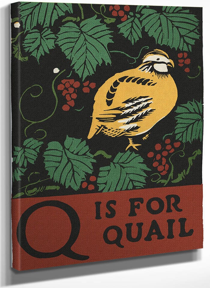 Alphabet Q Is For Quail By C.B. Falls