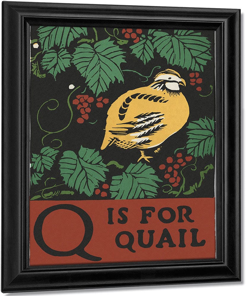 Alphabet Q Is For Quail By C.B. Falls - Image 6