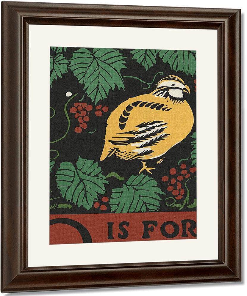 Alphabet  Q Is For Quail By C.B. Falls - Image 3