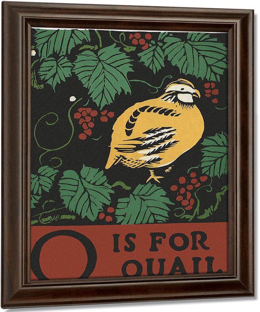 Alphabet  Q Is For Quail By C.B. Falls - Image 4