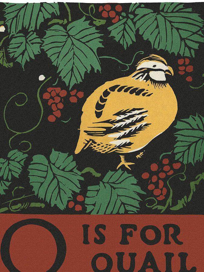 Alphabet  Q Is For Quail By C.B. Falls - Image 5