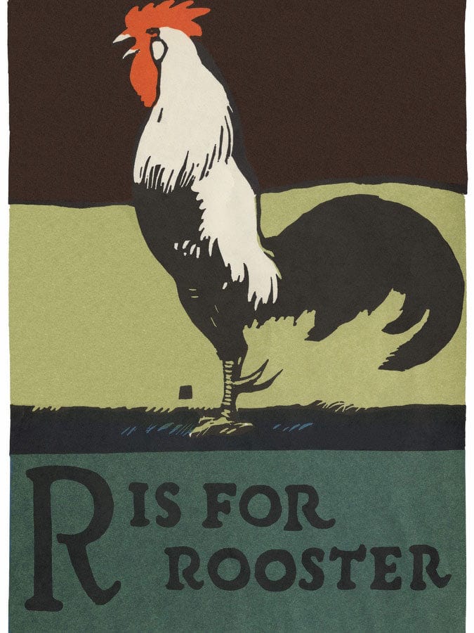 Alphabet R Is For Rooster By C.B. Falls - Image 5