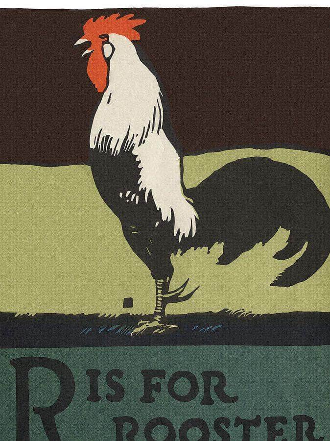 Alphabet R Is For Rooster By C.B. Falls - Image 5